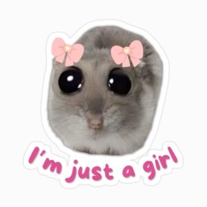 Just a girl sticker🎀